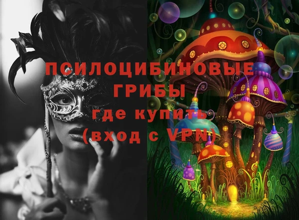 spice Алексин
