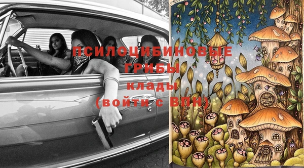 spice Алексин